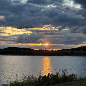 Meet your Posher, Dawn